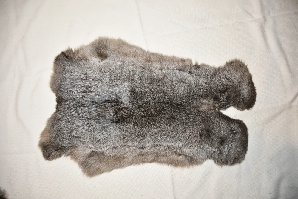 Králík