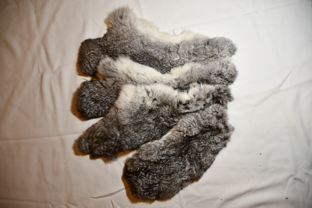 Králik mix